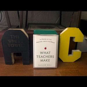 🍎What Teachers Make Book by Taylor Mali 🍎